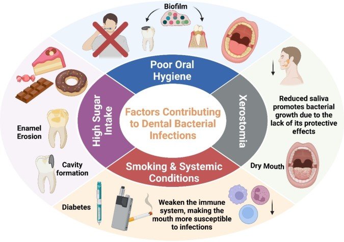 Causes of Biofilm Build Up
